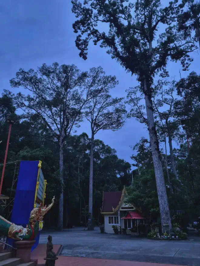 “Temple set within the grounds of an ancient forest”